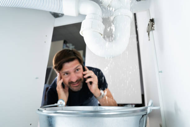 Best Leak Detection Services  in Steele Creek, AK